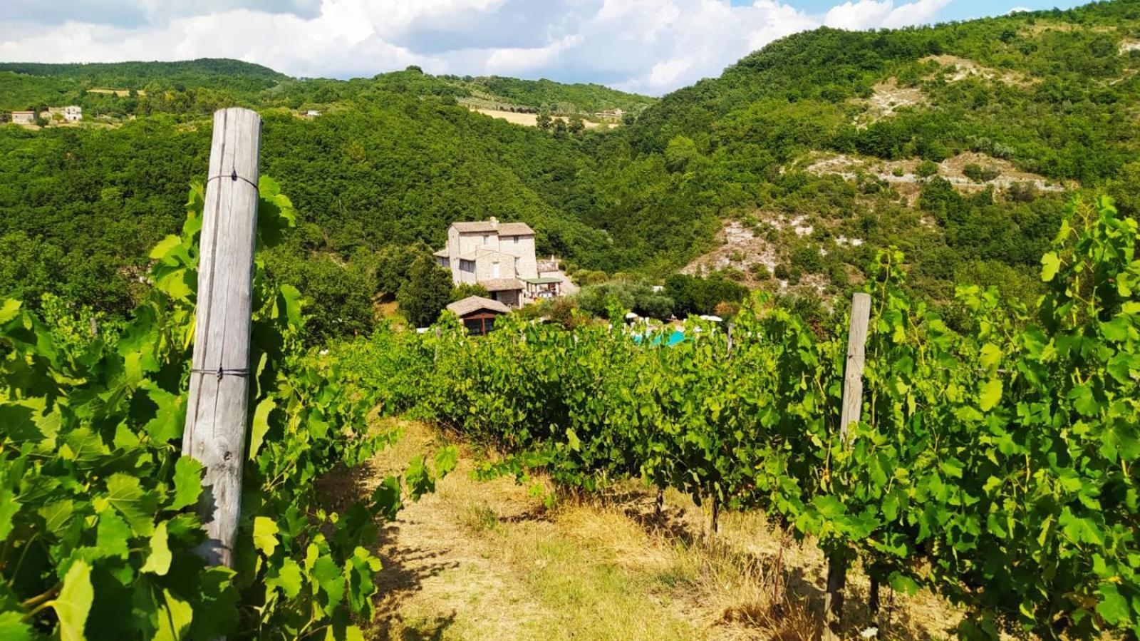 Re Artu Assisi Country Lifestyle Aparthotel Ngoại thất bức ảnh